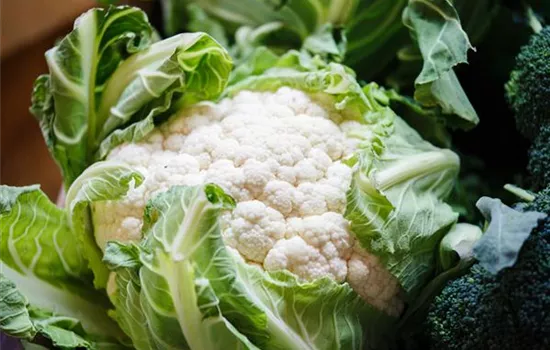 Brassica oleracea var. botrytis Brassica oleracea var. botrytis