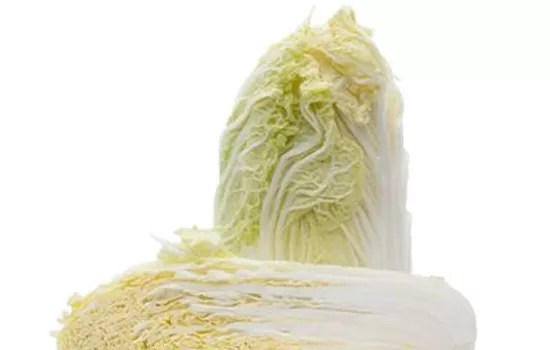 Brassica rapa subsp. pekinensis Brassica rapa subsp. pekinensis