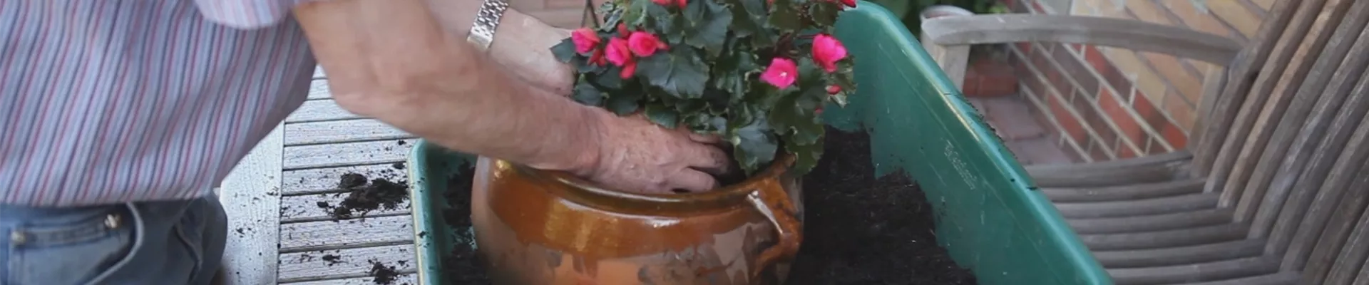 Blumenkübel - Bepflanzen mit mehreren Sommerblumen Blumenkübel - Bepflanzen mit mehreren Sommerblumen