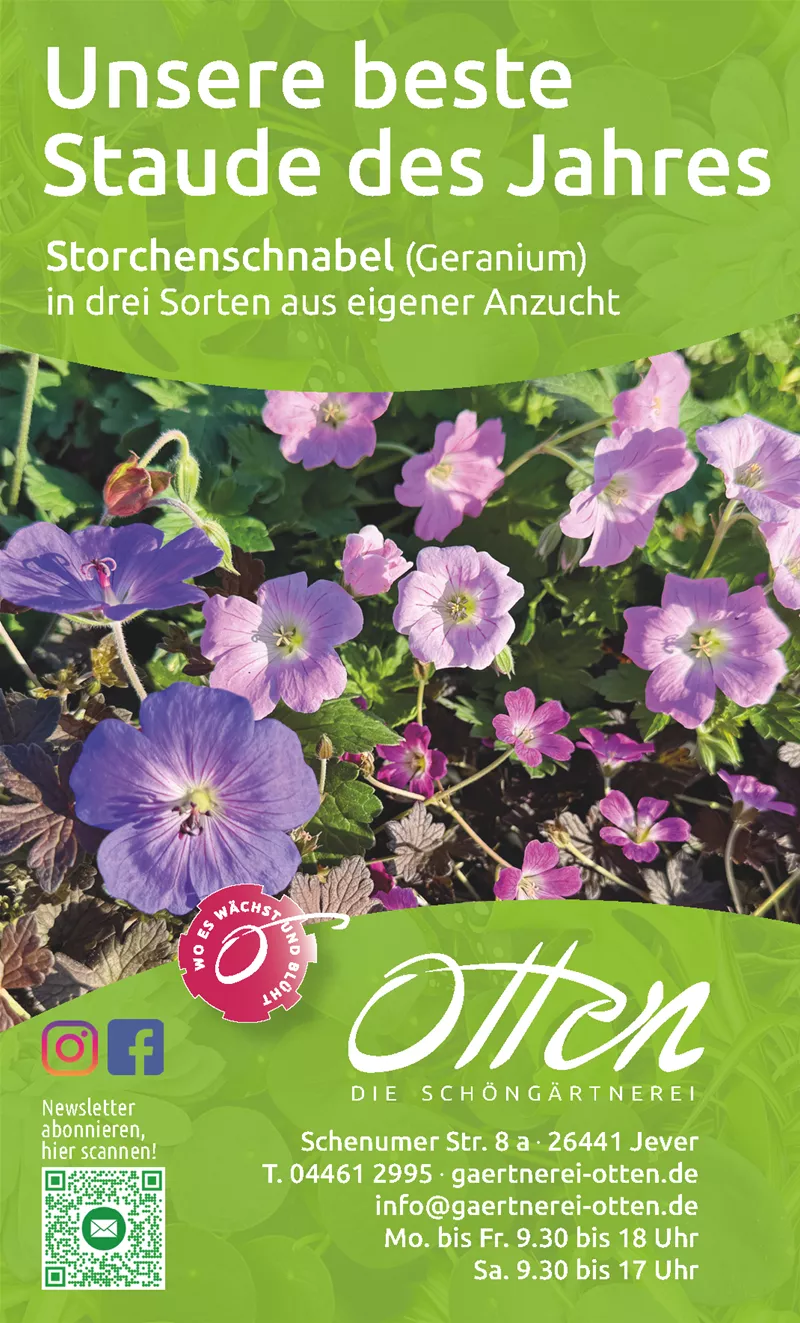 Anzeigenvorlage KW 27.png