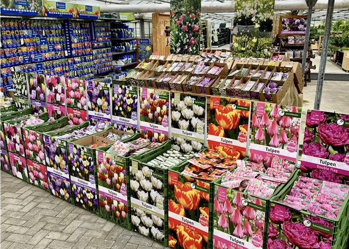 JETZT BLUMENZWIEBELN SETZEN