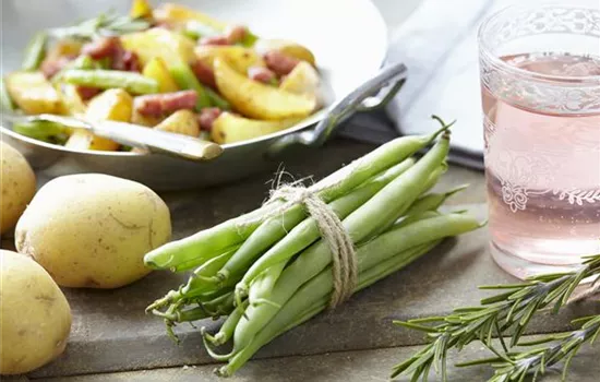 Phaseolus vulgaris Phaseolus vulgaris