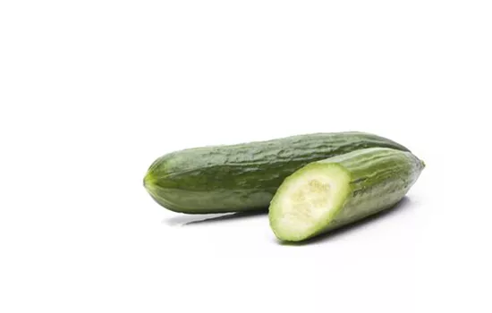 Cucumis sativus Cucumis sativus