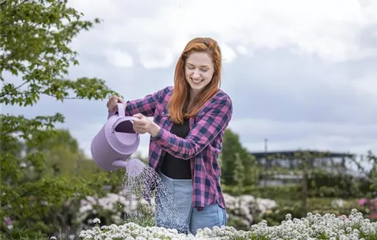 Frühling ist Pflanzzeit – ab in den Garten! Frühling ist Pflanzzeit – ab in den Garten!