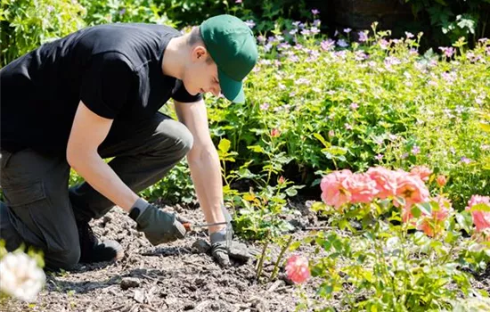 Was bringt der April dem Gärtner an Arbeit? Was bringt der April dem Gärtner an Arbeit?