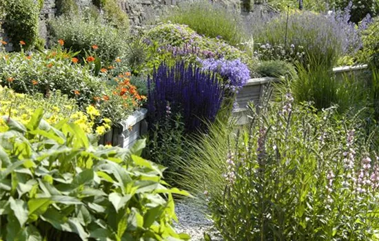 Das Staudenbeet – ein Blütenmeer im Garten Das Staudenbeet – ein Blütenmeer im Garten