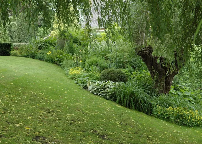 Schief ist modern - Der Garten muss nicht immer perfekt sein
