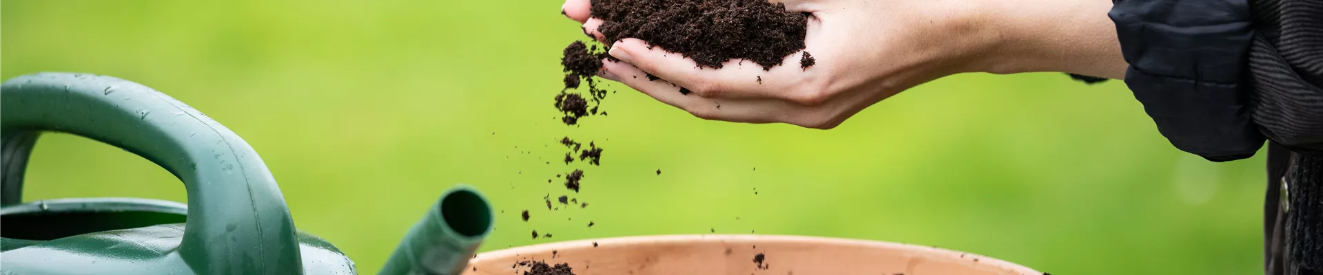 Erde in Kübel füllen