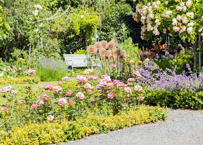 Gartenpflanzen Gartenpflanzen