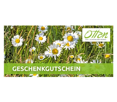 Individueller Gutschein Individueller Gutschein