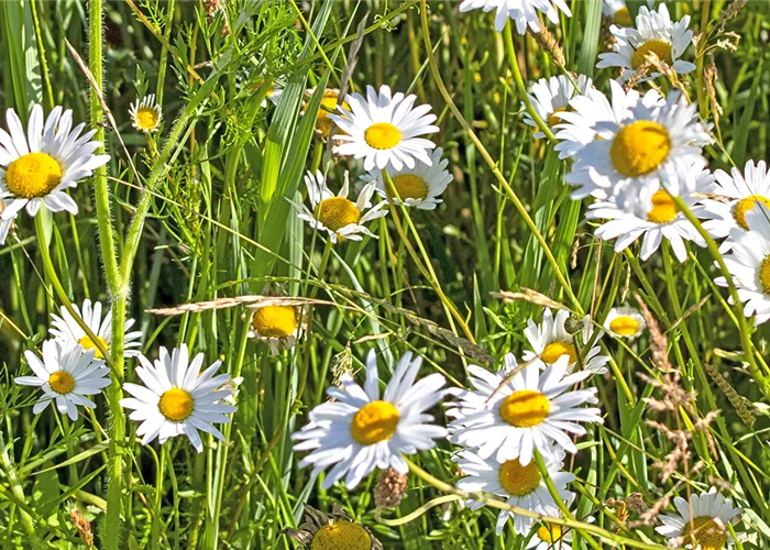 Aktuelles Aktuelles